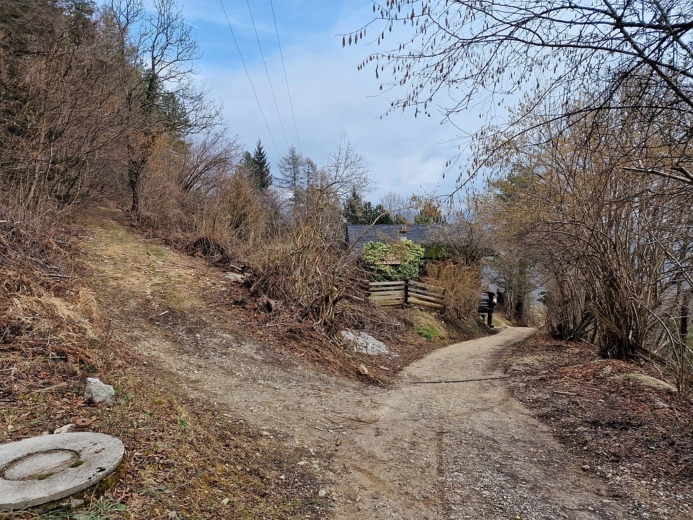 Slika je vidna v Google Chromu.