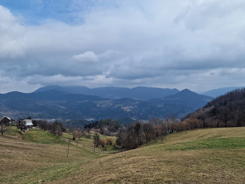 Slika je vidna v Google Chromu.