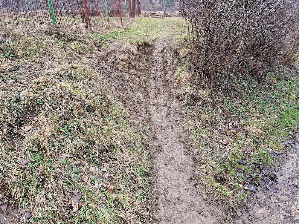 Slika je vidna v Google Chromu.