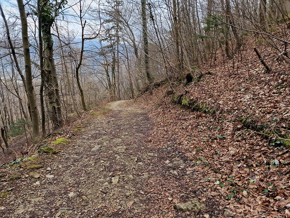 Slika je vidna v Google Chromu.