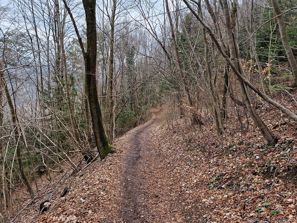 Slika je vidna v Google Chromu.