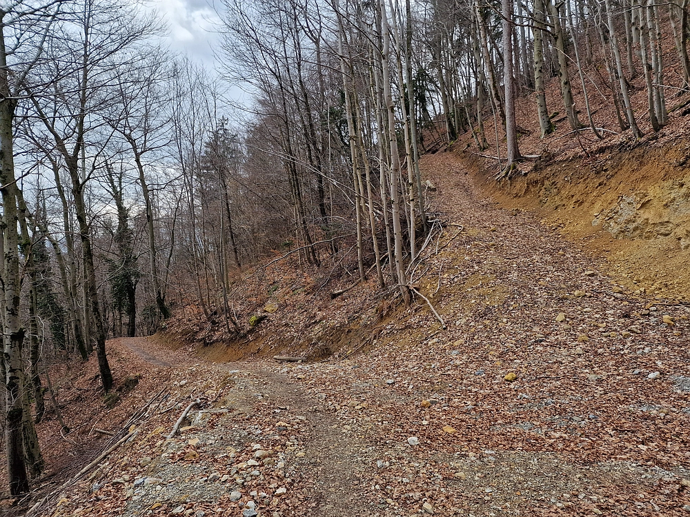 Slika je vidna v Google Chromu.