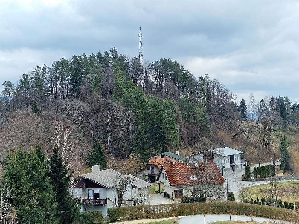 Slika je vidna v Google Chromu.