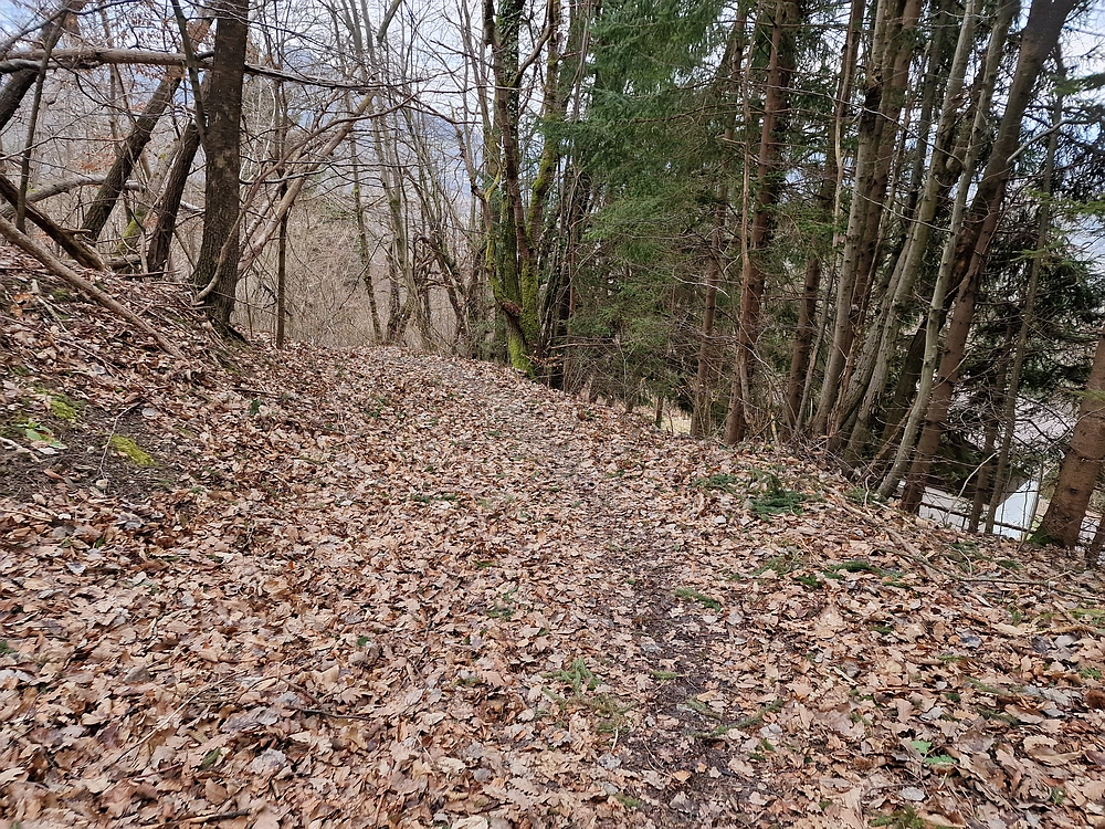 Slika je vidna v Google Chromu.