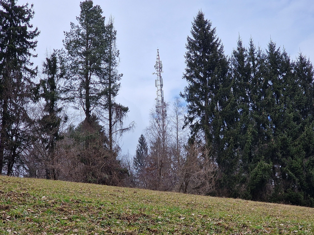 Slika je vidna v Google Chromu.