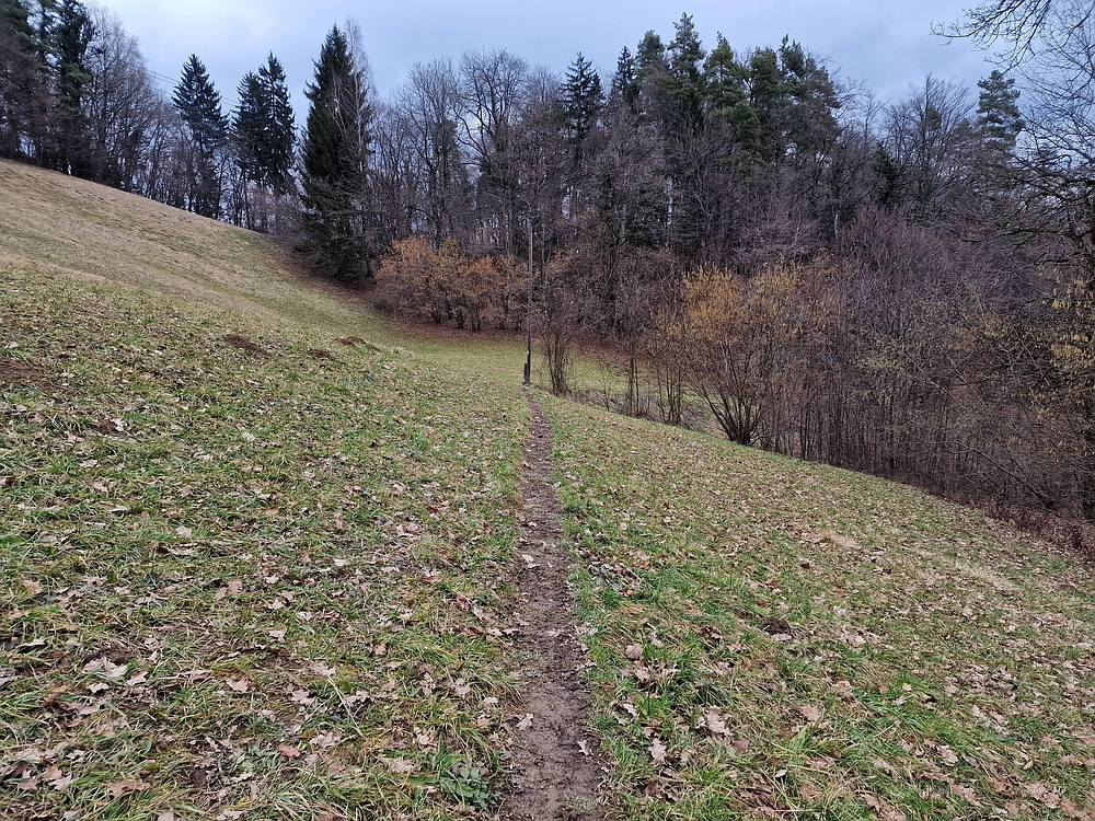 Slika je vidna v Google Chromu.