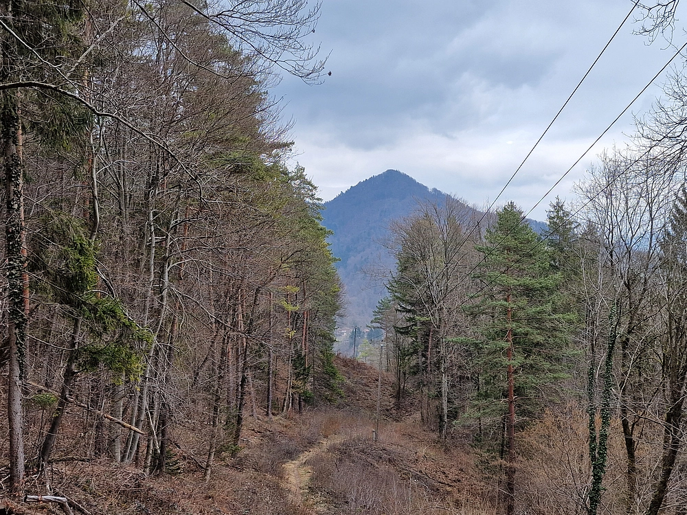 Slika je vidna v Google Chromu.