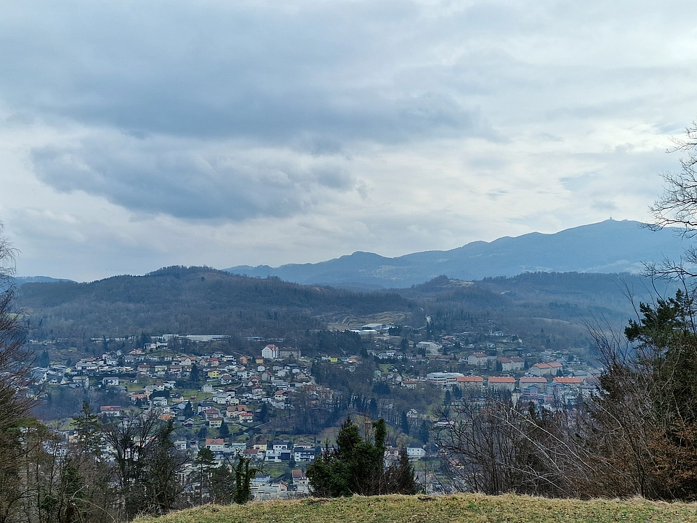 Slika je vidna v Google Chromu.