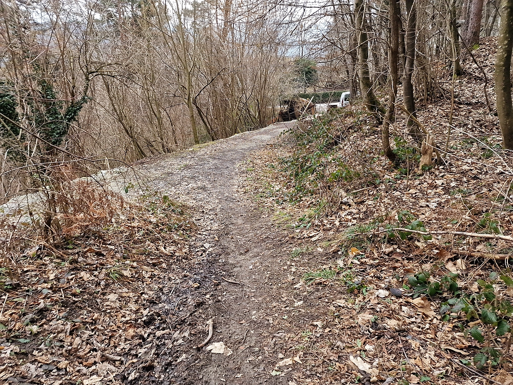 Slika je vidna v Google Chromu.