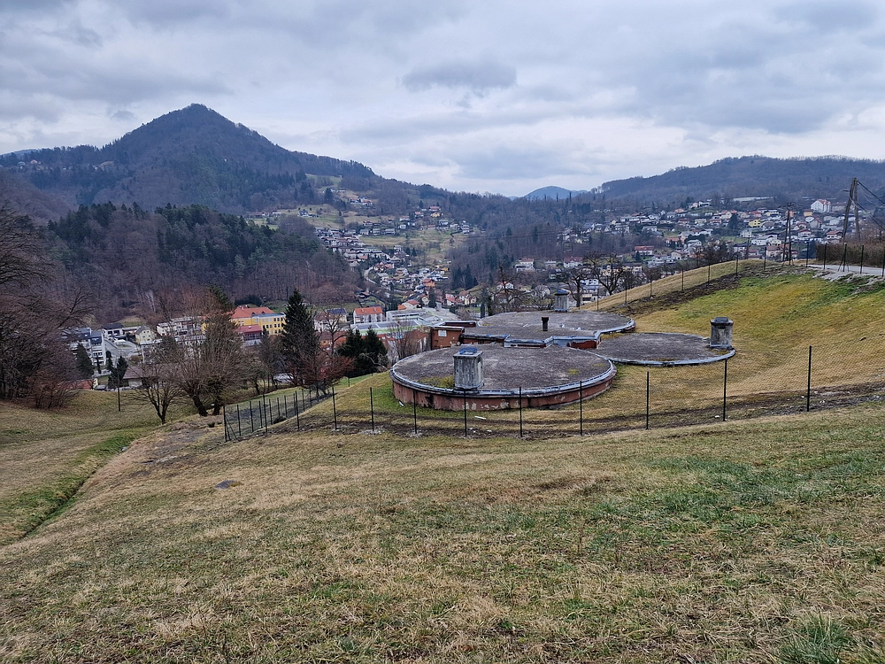 Slika je vidna v Google Chromu.