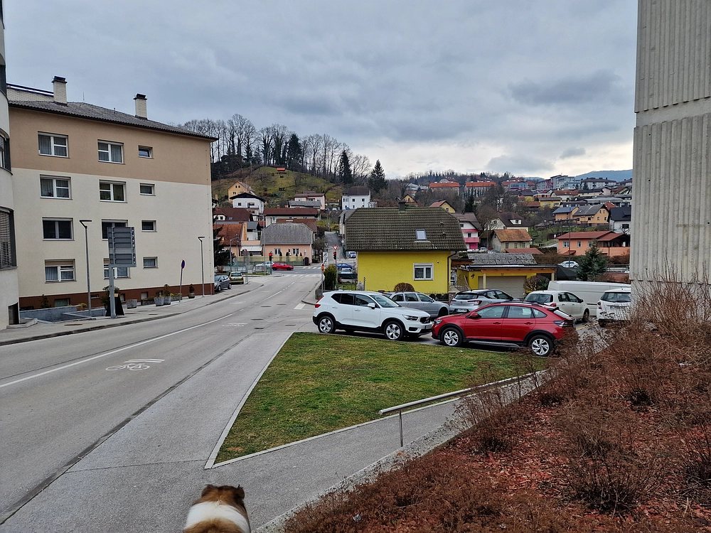 Slika je vidna v Google Chromu.