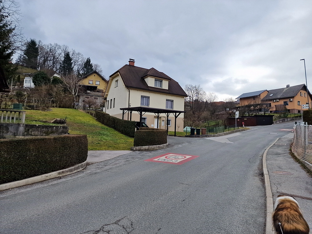 Slika je vidna v Google Chromu.