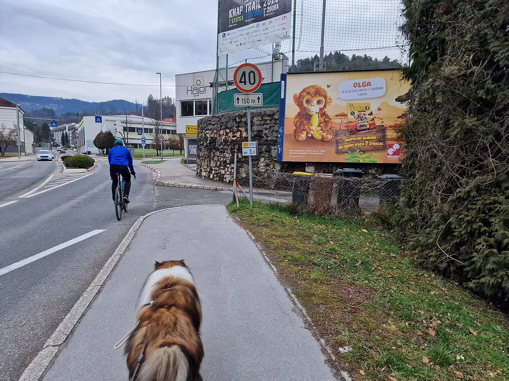 Slika je vidna v Google Chromu.