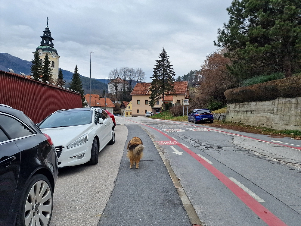 Slika je vidna v Google Chromu.