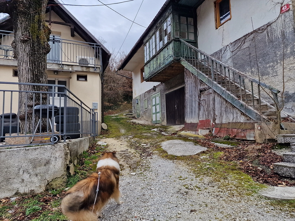 Slika je vidna v Google Chromu.