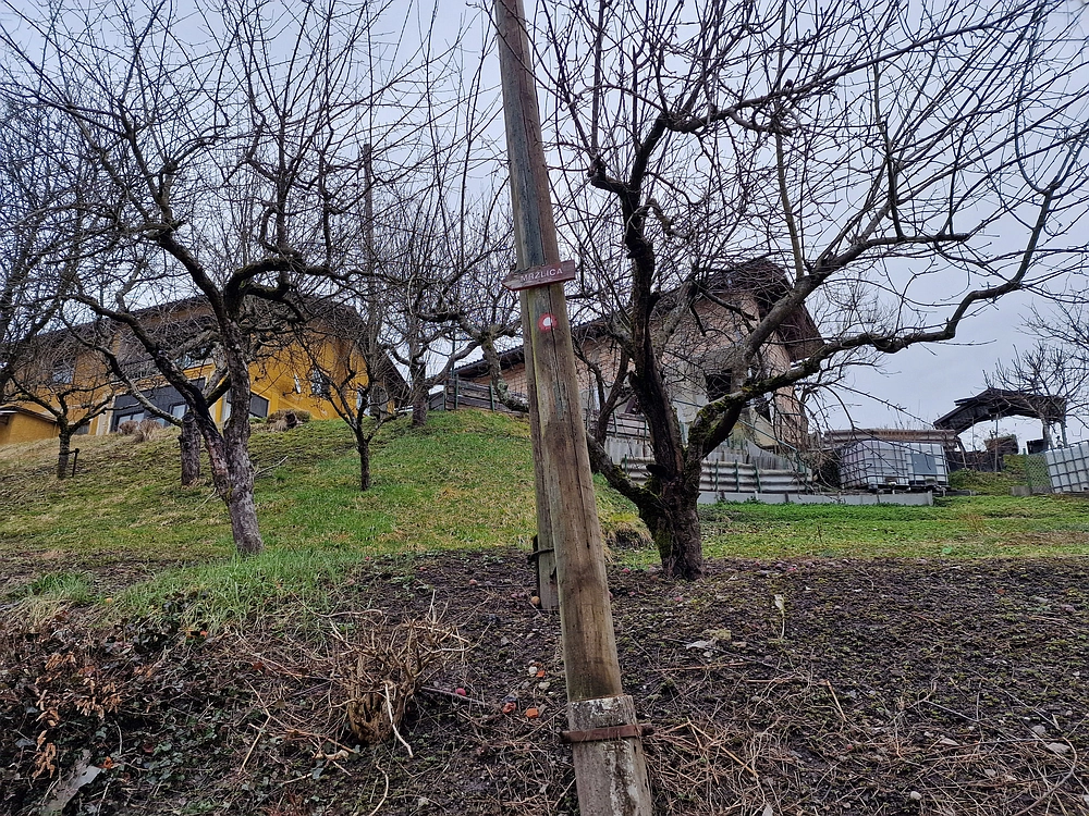 Slika je vidna v Google Chromu.
