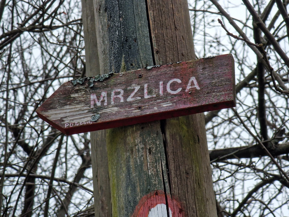 Slika je vidna v Google Chromu.