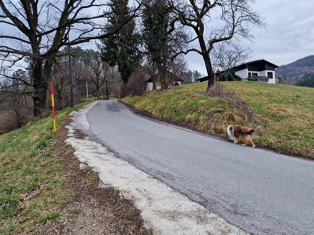 Slika je vidna v Google Chromu.