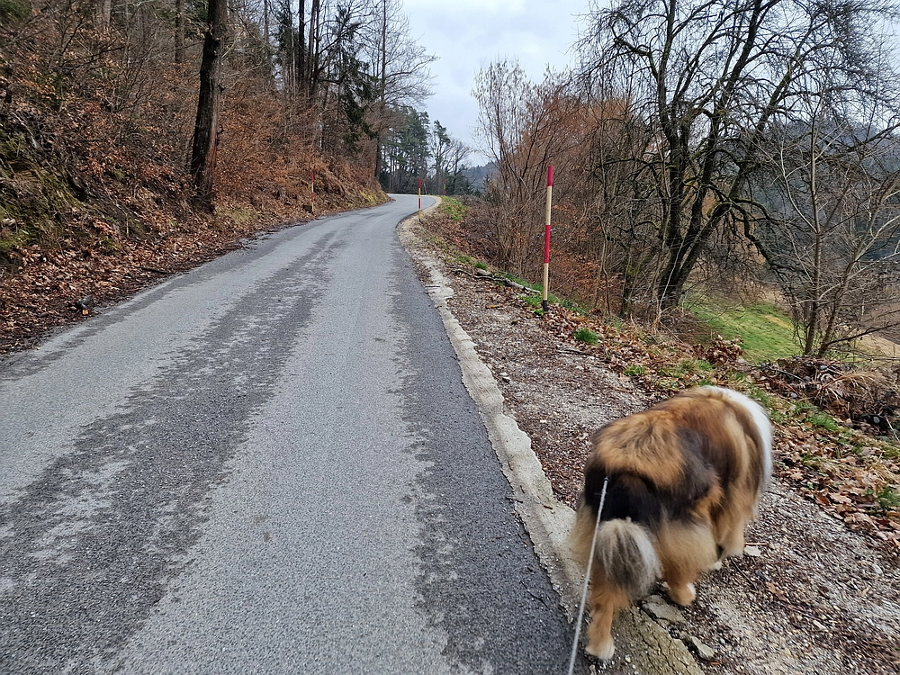 Slika je vidna v Google Chromu.