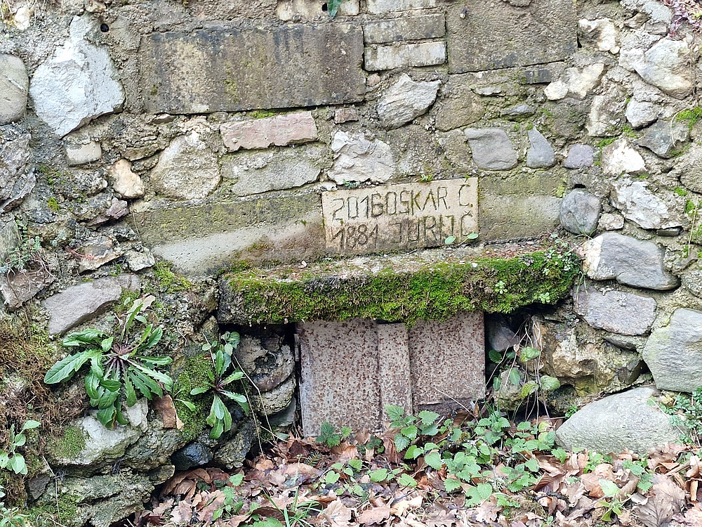 Slika je vidna v Google Chromu.