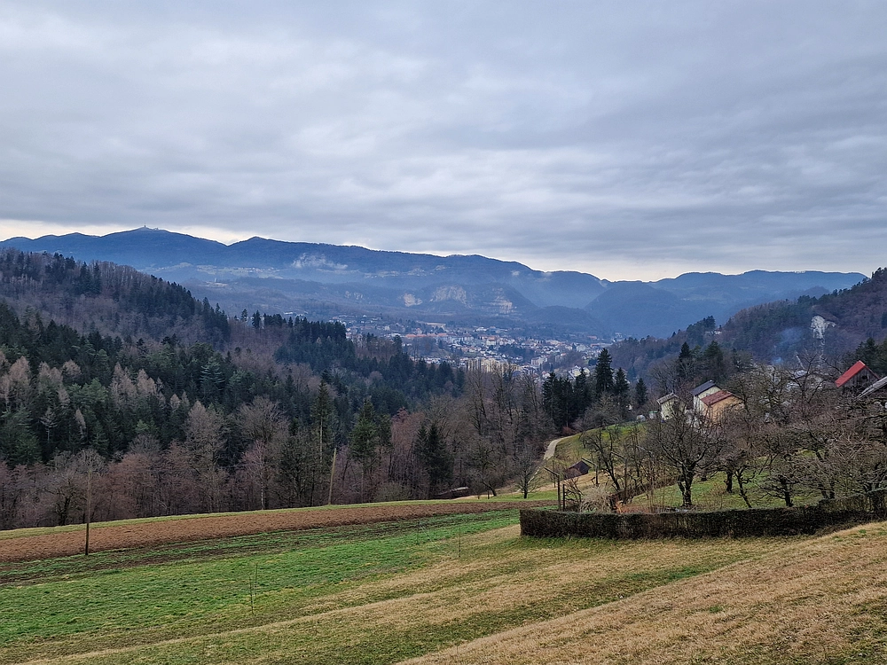 Slika je vidna v Google Chromu.