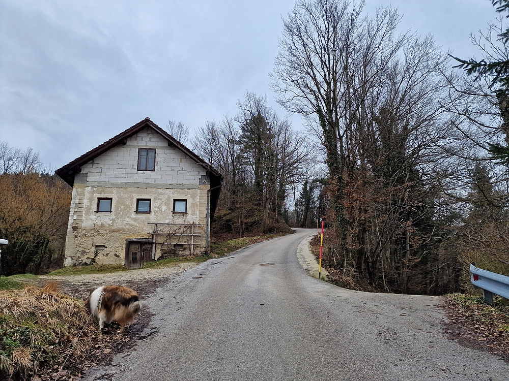Slika je vidna v Google Chromu.