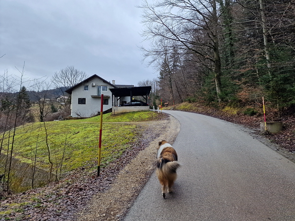 Slika je vidna v Google Chromu.