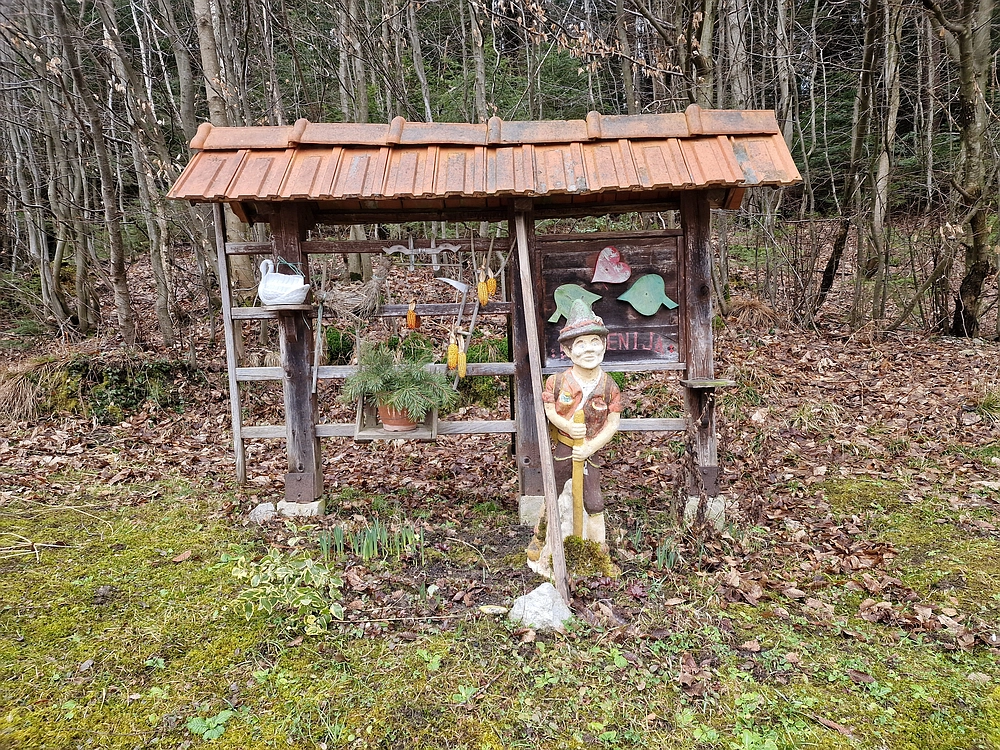 Slika je vidna v Google Chromu.