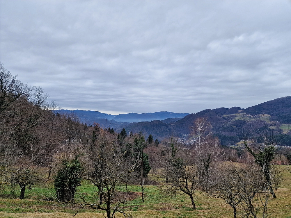 Slika je vidna v Google Chromu.