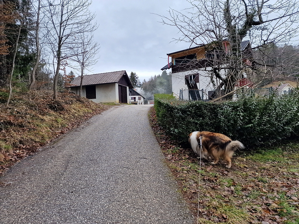 Slika je vidna v Google Chromu.