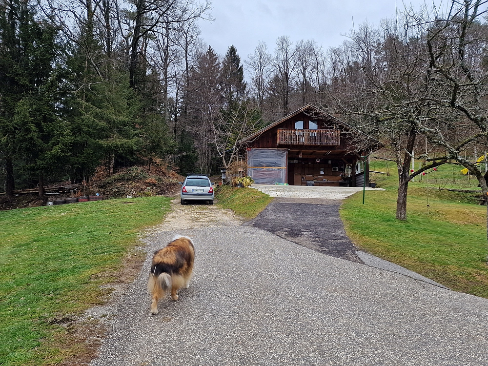 Slika je vidna v Google Chromu.