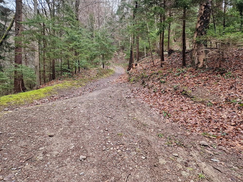 Slika je vidna v Google Chromu.