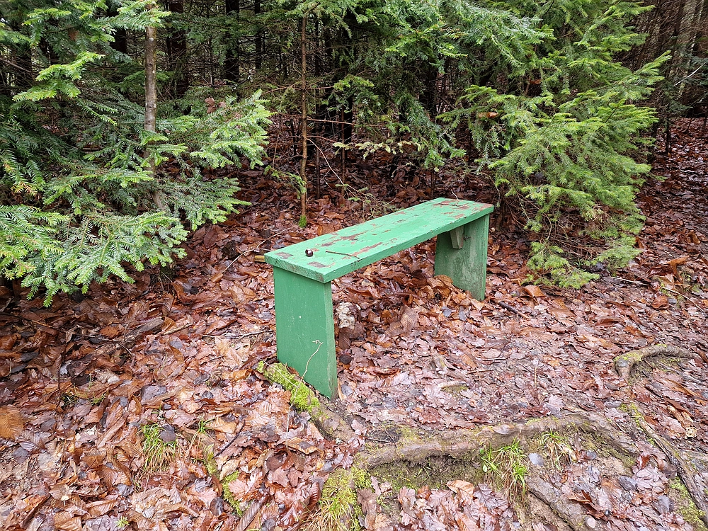 Slika je vidna v Google Chromu.