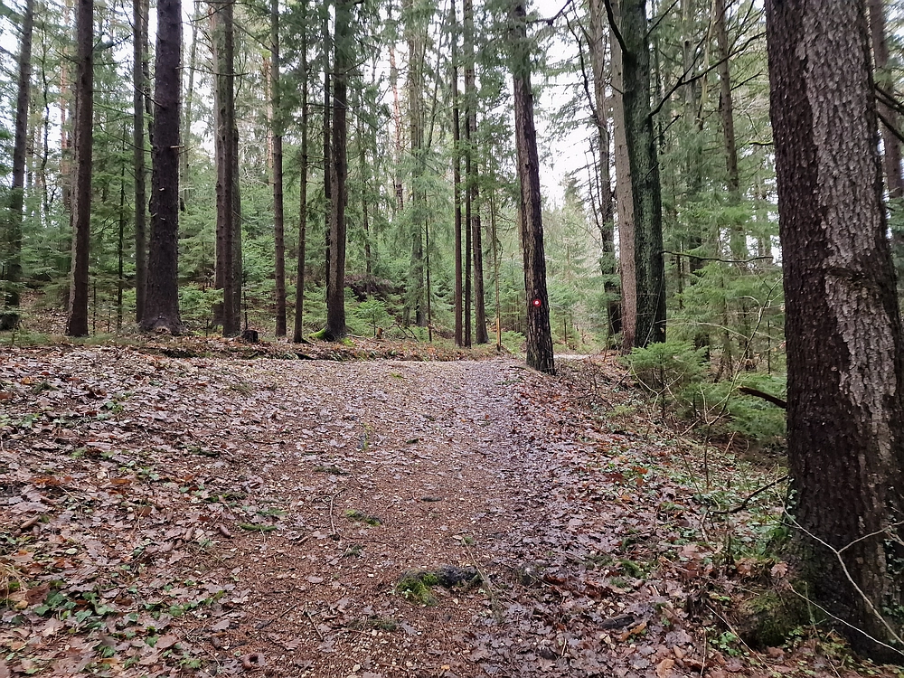 Slika je vidna v Google Chromu.