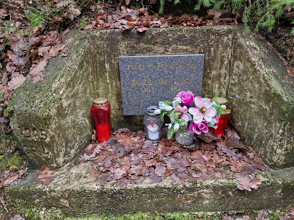 Slika je vidna v Google Chromu.