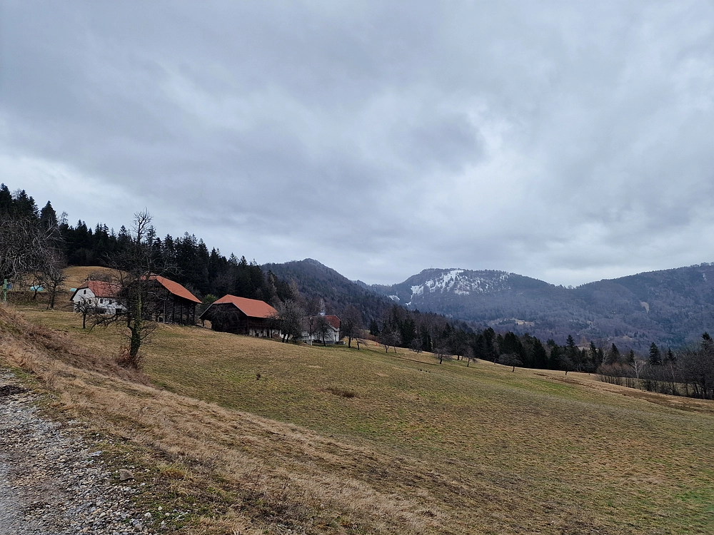 Slika je vidna v Google Chromu.