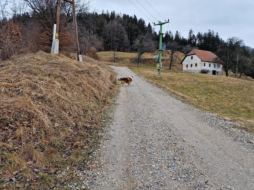 Slika je vidna v Google Chromu.