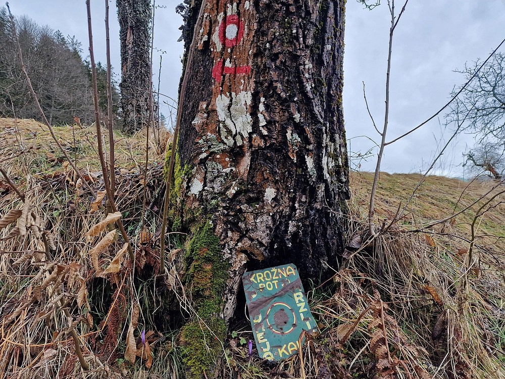 Slika je vidna v Google Chromu.