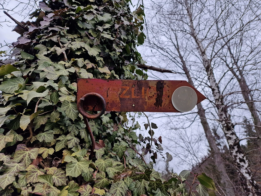 Slika je vidna v Google Chromu.