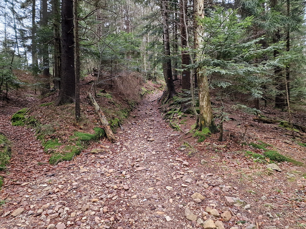 Slika je vidna v Google Chromu.