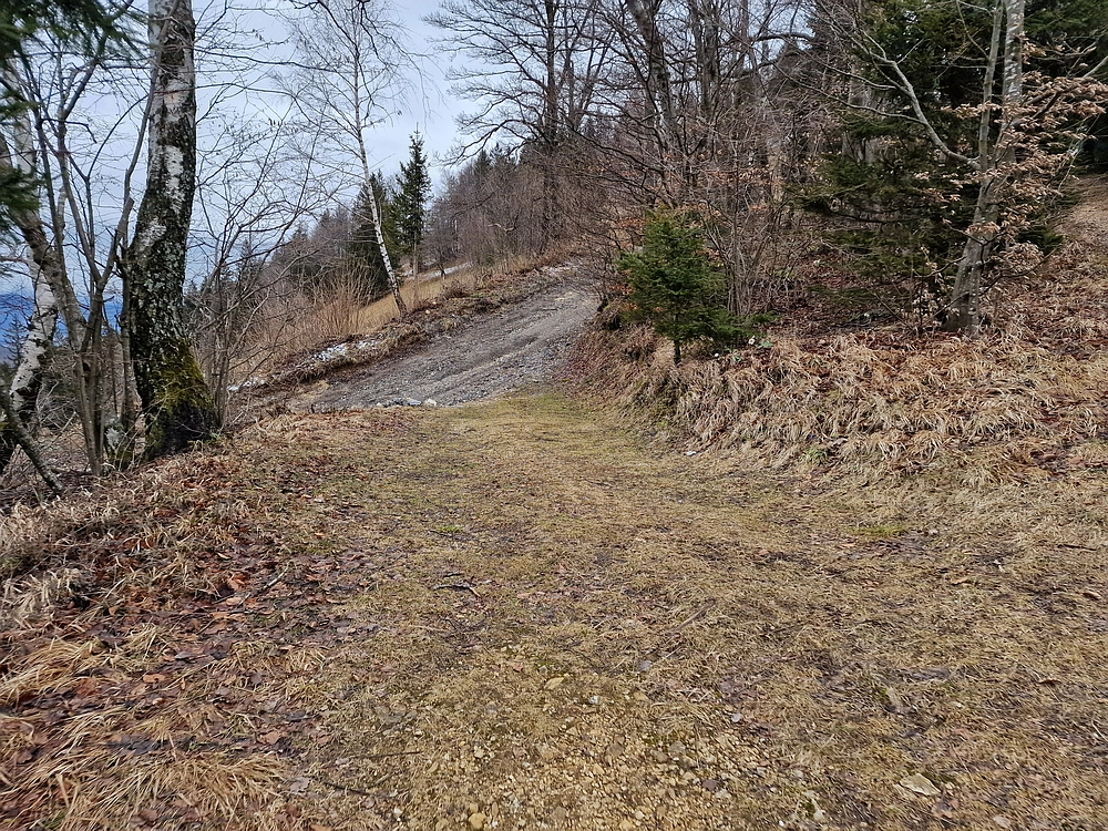 Slika je vidna v Google Chromu.