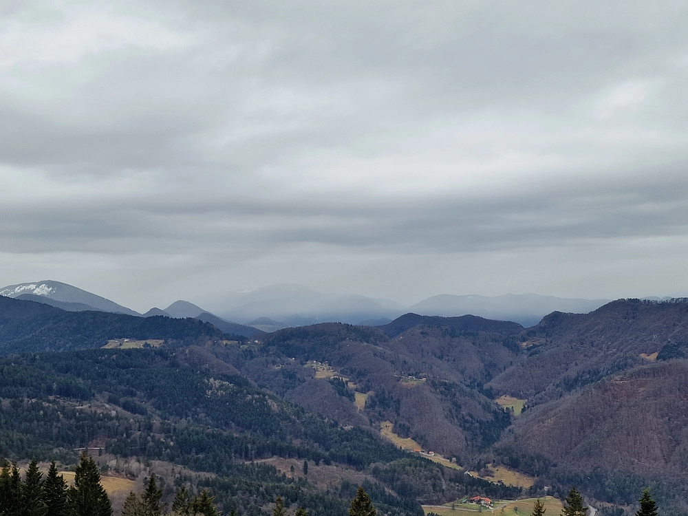 Slika je vidna v Google Chromu.