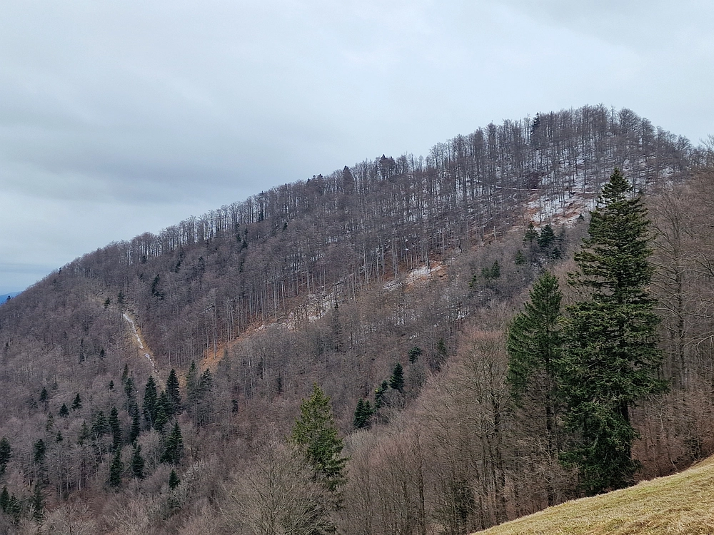 Slika je vidna v Google Chromu.