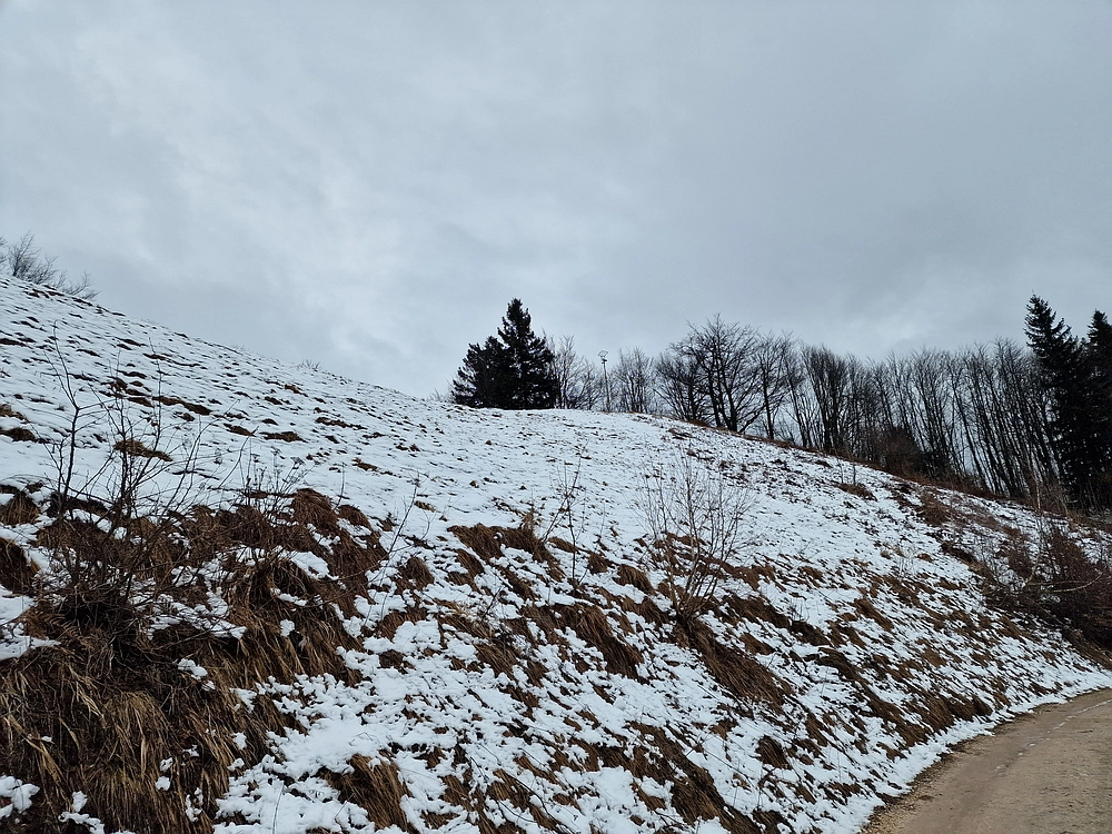 Slika je vidna v Google Chromu.