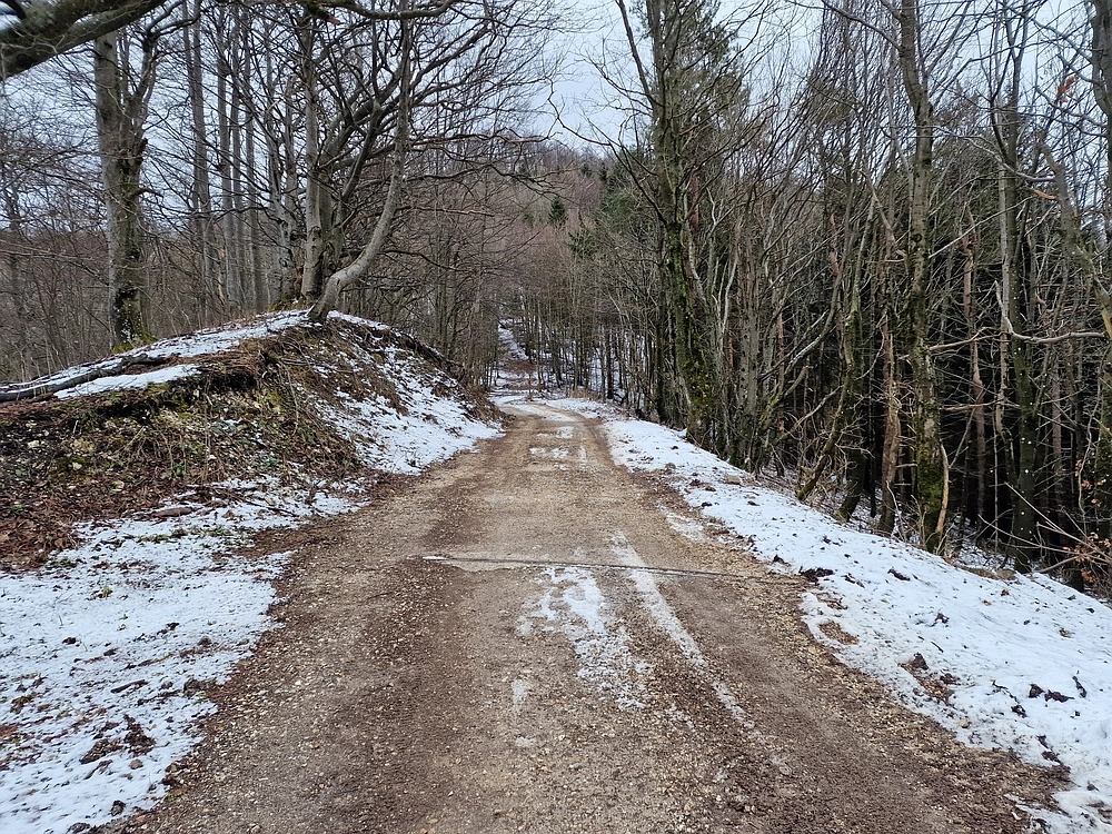Slika je vidna v Google Chromu.