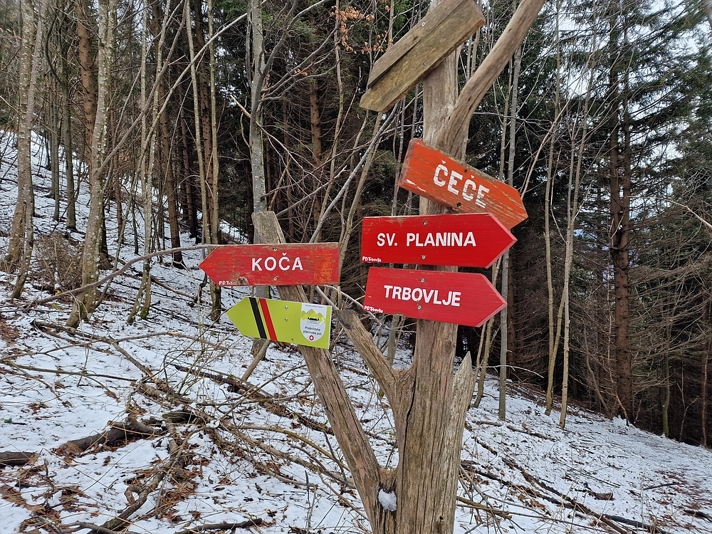 Slika je vidna v Google Chromu.