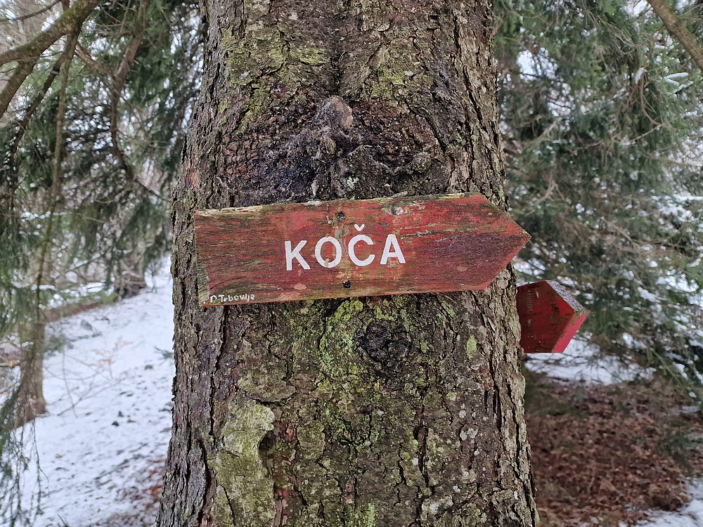 Slika je vidna v Google Chromu.