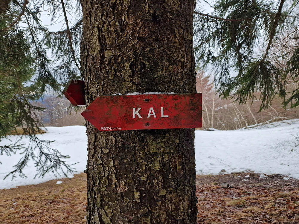 Slika je vidna v Google Chromu.