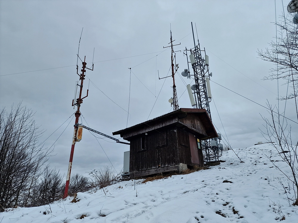 Slika je vidna v Google Chromu.
