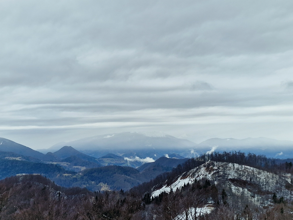 Slika je vidna v Google Chromu.